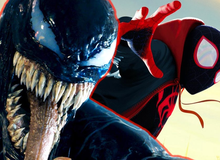 Tại sao chúng ta không thấy Người Nhện xuất hiện trong Venom?