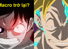 One Piece: "Phượng hoàng bất tử" Marco sẽ trở lại cùng Luffy đánh bại Tứ Hoàng Kaido?