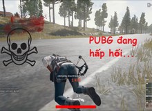 9 tháng sụt giảm liên tiếp, đã đến lúc gọi PUBG là game "Trung Quốc mở rộng"