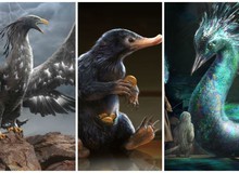 20 sinh vật huyền bí "hiếm có khó tìm" từng xuất hiện trong Fantastic Beasts And Where To Find Them (Phần 1)