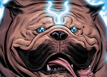 10 chú chó đáng yêu và nổi tiếng nhất trong vũ trụ Marvel