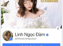 Linh Ngọc Đàm hớn hở khoe fanpage chính chủ tích xanh, hứa report chết toàn bộ trang giả mạo