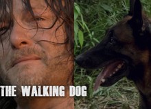 TWD S9 tập 7: The Walking "Dog" xuất hiện!