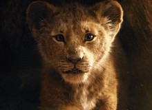 Phấn khích với Trailer mới nhất của Lion King nhưng đây mới là điều khiến nhiều người tranh cãi về Vua Sư Tử