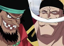 4 trái ác quỷ sở hữu năng lực cực mạnh đã được "chuyển sinh" trong One Piece