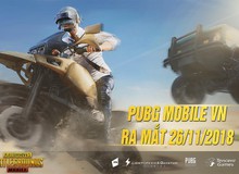 PUBG Mobile VN – Liệu người chơi có cần thiết phải download bản Tiếng Việt hay không?