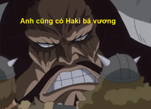 Tứ Hoàng Kaido sở hữu Haki Bá Vương! Thánh soi phát hiện lỗi của tác giả trong One Piece 923