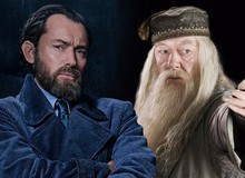 Thầy Dumbledore và 7 phù thủy quyền năng mới sẽ xuất hiện trong Fantastic Beasts 2
