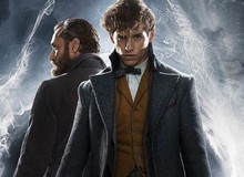 Fantastic Beast 2: Mối quan hệ của Dumbledore và Newt Scamander sẽ khác với Harry Potter như thế nào?