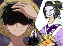 One Piece: Mới xuất hiện chưa bao lâu nhưng Đệ nhất Mỹ nhân Komurasaki chắc chắn sẽ "phải chết" trong tương lai?