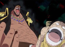 One Piece: Cùng ước mơ trở thành Vua Hải Tặc, Blackbeard giờ đã là Tứ Hoàng hùng mạnh còn Luffy thì vẫn "ăn hành" trong ngục Kaido