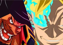 One Piece: Phượng Hoàng Marco có lẽ là người duy nhất biết về bí mật của Tứ Hoàng Blackbeard?