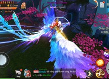 Tiếp tục là những "drama cuối tuần" của cộng đồng Tam Sinh Tam Thế: Đại chiến thảm sát tại server 2