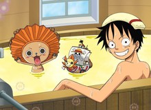 One Piece: Luffy không chỉ là thánh ăn, thánh ngủ mà còn là... thánh ở dơ nữa đấy!