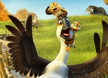Duck Duck Goose - Tựa phim hoạt hình hài hước về những chú vịt vui nhộn