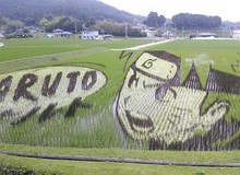 Biến ruộng lúa thành những "bức tranh" hoạt hình Anime, chỉ có thể là người Nhật Bản!