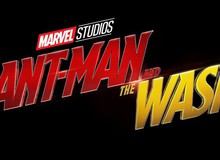 Đừng vội mừng, Ant-Man And The Wasp không phải là phim siêu anh hùng hài kịch lãng mạn như bạn tưởng đâu