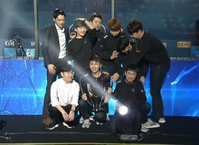 LMHT: Hủy diệt Afreeca, Kingzone chính thức trở thành đại diện của Hàn Quốc đi MSI 2018, bảo vệ thành công ngôi vương LCK