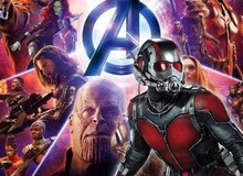 Cuối cùng thì vai trò của Ant-Man trong Avengers: Infinity War cũng được Marvel thừa nhận trong poster mới toanh