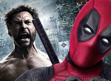 Wolverine và 5 ứng kỉ viên nặng kí có thể sẽ đảm nhận 1 vai cameo quan trọng trong Deadpool 2