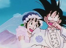 Những điều thú vị mà cả các fan ruột cũng chưa biết về gia đình nhà Goku (P2)