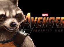 Rocket Raccoon "tử nạn" bên vệ đường sau khi nhóm Vệ Binh Giải Ngân Hà bị tan biến trong Avengers: Infinity War