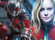 Tương lai của Avengers 4 và số phận của Captain Marvel có thể sẽ được hé lộ trong Ant-Man 2