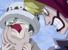 Top 10 thanh niên sở hữu Trái Ác Quỷ ngay từ khi còn bé trong One Piece (P2)