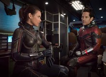 Ant-Man and The Wasp: Bộ đôi Ong-Kiến và 5 cặp đôi "ăn ý" nhất vũ trụ Marvel