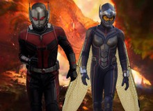 Avenger 4: Làm thế nào để Ant-Man thoát ra khỏi Lượng tử giới?