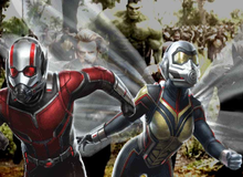 Lý do thật sự khiến Ant-Man and the Waps không có mặt trong Avengers: Infinity War là gì?