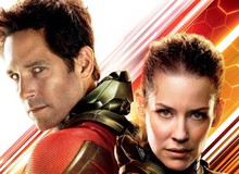 Phản ứng của cộng đồng mạng sau suất chiếu sớm Ant-Man and The Wasp: Tràn ngập tràn lời khen