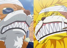 Thuyết âm mưu One Piece: Top 10 nhân vật có thể tử nạn trong Arc Wano