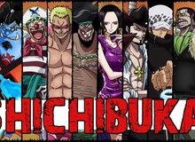 Tại sao Thất Vũ Hải Shichibukais lại được tạo ra trong One Piece? Câu trả lời của Oda khiến ai cũng bất ngờ