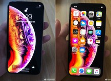 iPhone Xs lộ ảnh trên tay trước giờ G, hóa ra hình nền mới là để che tai thỏ