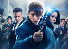 Trailer cuối cùng của "Fantastic Beasts 2" hé lộ quyền năng cực "khủng" của chúa tể hắc ám Grindelwald