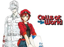Bộ ảnh Cosplay chàng "Bạch Cầu" trong anime đình đám Cells at Work khiến các fan nữ muốn "rụng trứng"