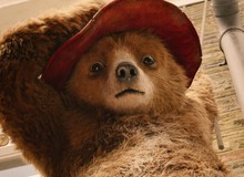 Paddington 2 - Tựa phim đầy tính nhân văn cho các gia đình dịp tết năm nay