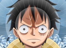 Nhìn lại quá trình phát triển Haki Bá Vương của Luffy – Tân vương hải tặc tương lai trong One Piece