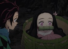 Kimetsu no Yaiba: Nezuko là một con quỷ đặc biệt như thế nào?