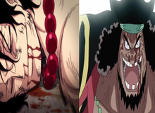 One Piece: Cho dù đã từ chối, nhưng Râu Đen có thoát khỏi lời nguyền "thảm khốc" của vị trí đội trưởng 2 băng Râu Trắng?