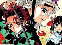 Kimetsu no Yaiba: Liệu thứ tự đẳng cấp trong Thập Nhị Quỷ Nguyệt có thực sự phản ánh đúng sức mạnh của chúng?