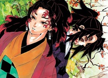 Kimetsu no Yaiba: Ai là kẻ đã giết hại vợ con của kiếm sĩ huyền thoại Yoriichi?