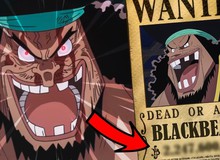 One Piece: Sau 2 năm, Râu Đen từ hải tặc vô danh không một đồng tiền thưởng đã trở thành Tứ Hoàng với mức truy nã cao nhất bộ truyện