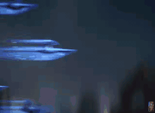 5 thể loại game mobile được dự đoán sẽ lên ngôi tại thị trường game Việt trong năm 2019