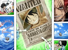 One Piece: Băng Mũ Rơm có thể lấy chất lượng để bù số lượng khi đấu với các băng hải tặc có hạm đội hùng hậu hay không?