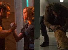 Soi "thính" 4 cặp đôi của Captain Marvel: Từ bao giờ phim siêu anh hùng lại “ngôn tình” đến thế?