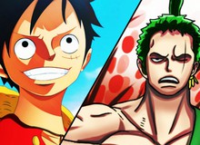 One Piece: Phải chăng Zoro, cánh tay phải của Luffy sắp thu nạp... đệ tử?