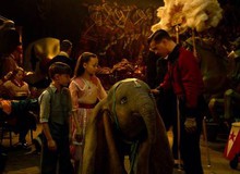 4 bài học cuộc sống đắt giá khiến Dumbo là một trong những bộ phim "làm lại" quan trọng nhất của Disney