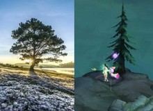 Bất ngờ phát hiện trong game kiếm hiệp có một… cái cây giống hệt địa danh nổi tiếng ở Đà Lạt